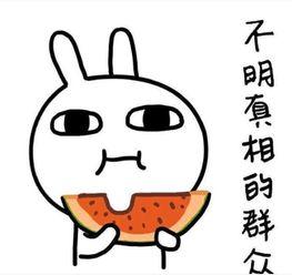 吃瓜走走,揭秘娱乐圈背后的故事与真相