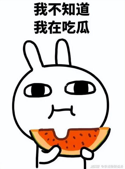 皮皮熊吃瓜,皮皮熊的瓜田奇遇记