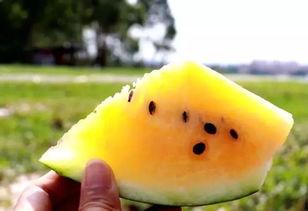 肉甜呐吃瓜,揭秘娱乐圈甜蜜背后的秘密