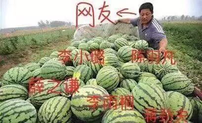 吃瓜被捕,揭秘一起因“吃瓜”引发的惊人事件