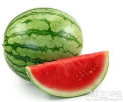 西瓜系统吃瓜,揭秘吃瓜群众的智慧盛宴