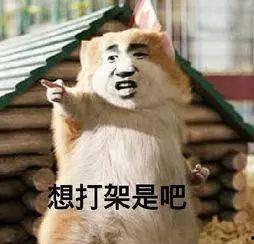 吃瓜乱象的影响,揭秘网络舆论场中的是非漩涡