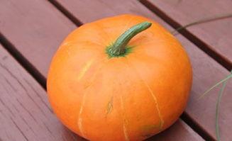 秋天妈妈吃的瓜,妈妈心爱的瓜果盛宴