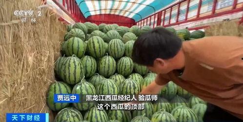 屁股吃瓜,揭秘网络热点的背后真相