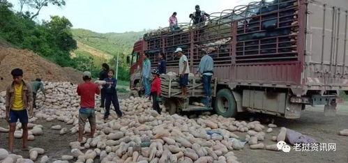 老挝吃瓜人,悠闲生活，品味吃瓜人生